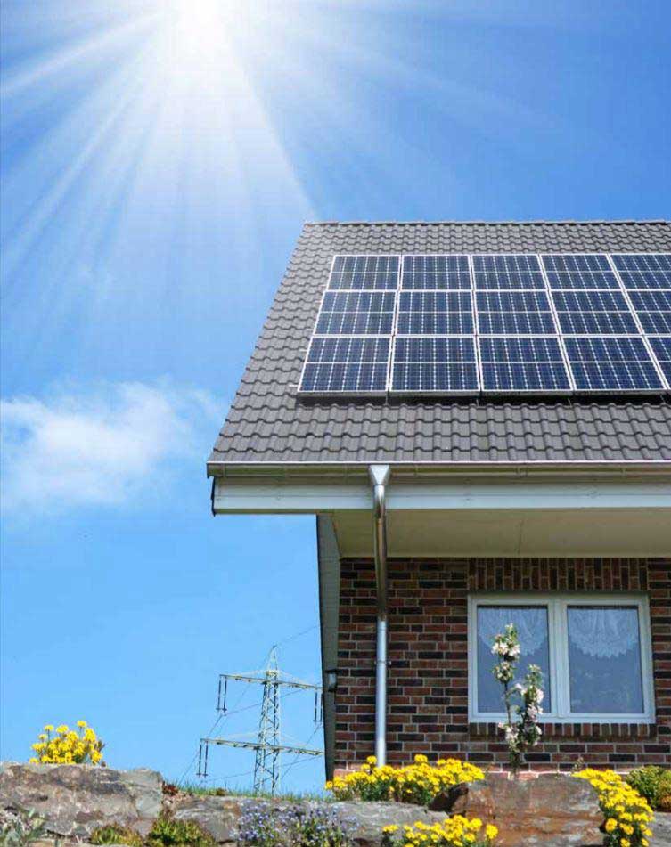 CN Automotive / Tinyhouse 1.5kW