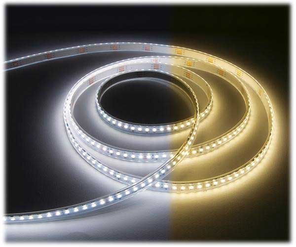 STRIP LED HP TW (tunable white)