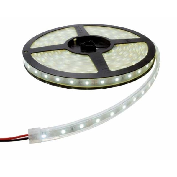 STRIP LED - Cbns1631 - QL27-100-5